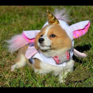 Meet your Posher, Hayley